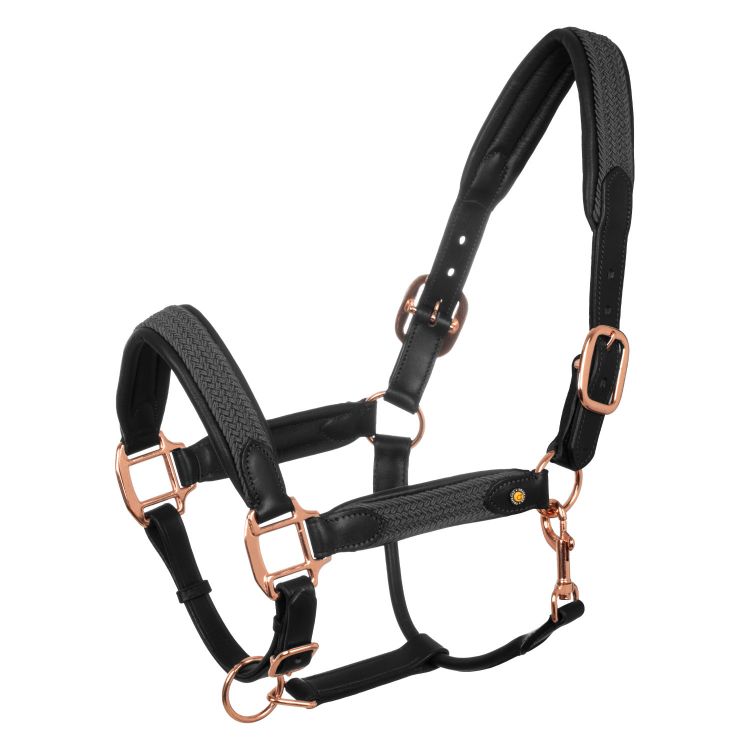 Leather halter with braided nylon inserts