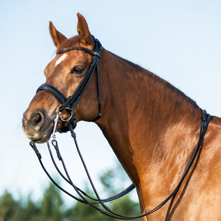 Parnaso bridle double reins