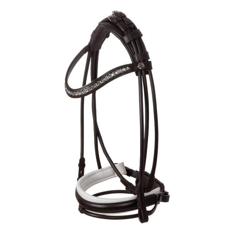 Iris bridle calfskin