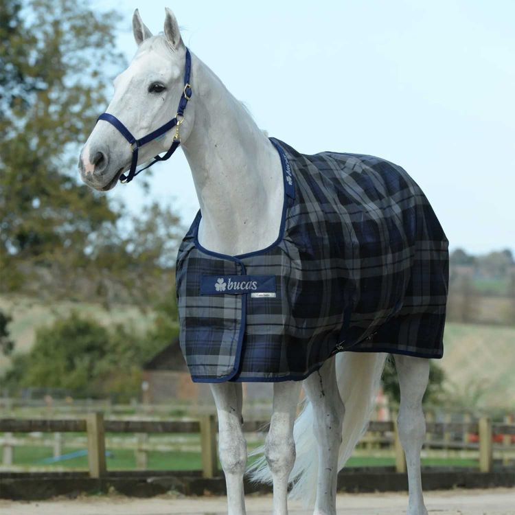 BUCAS CELTIC STABLE MEDIUM 150  SD STAY-DRY LINING NAVY