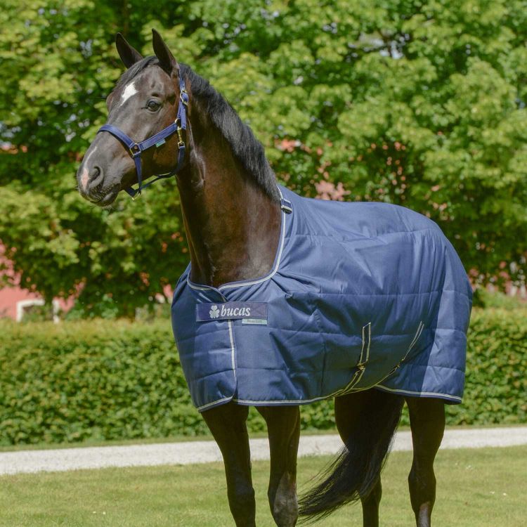 BUCAS STABLE QUILTS 300 SD NAVYU