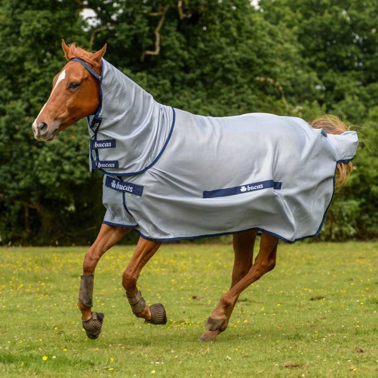 BUZZ-OFF RANGE FULL NECK FLY SHEET