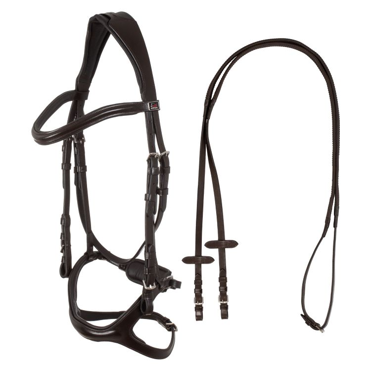 Snaffle bridle with anatomic curved shaped crown