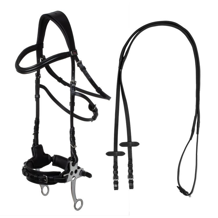 Hackamore bridle