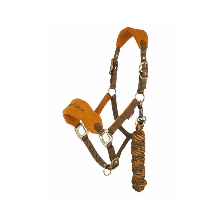 VOGUE HEADCOLLAR & LEADROPE ALPINE