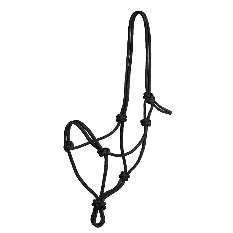 POOL'S KNOT HALTER