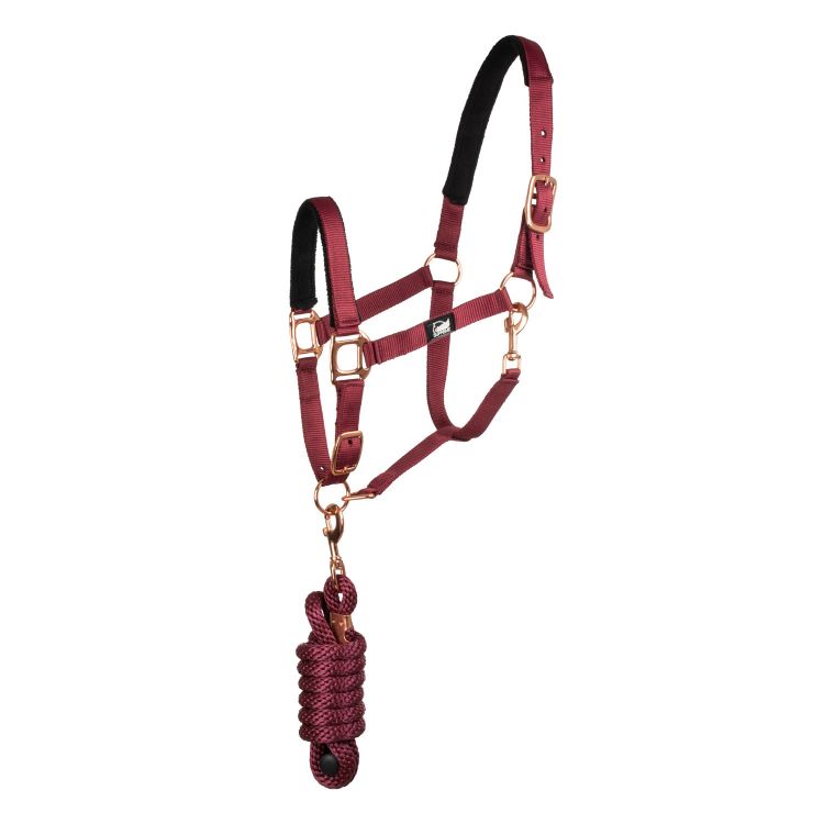 ROSE GOLD LINE NYLON HALTER + LEAD