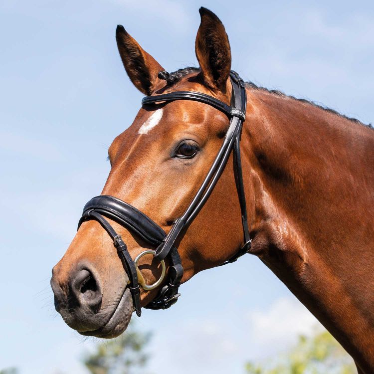 Fornarina bridle laminated calfskin